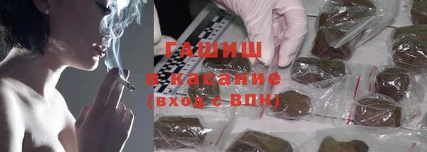 индика Покачи