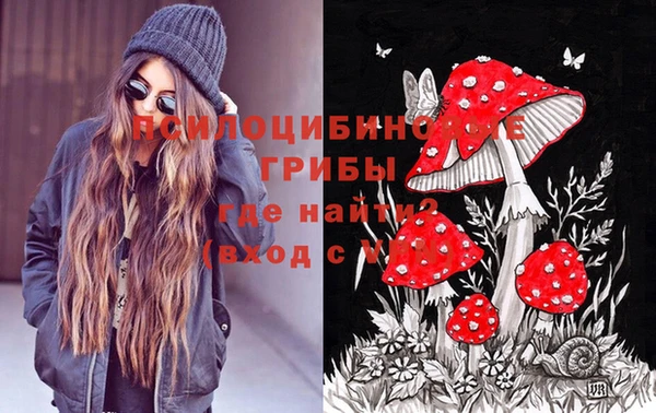 таблы Верея