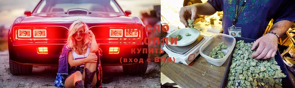 прущая мука Покровск